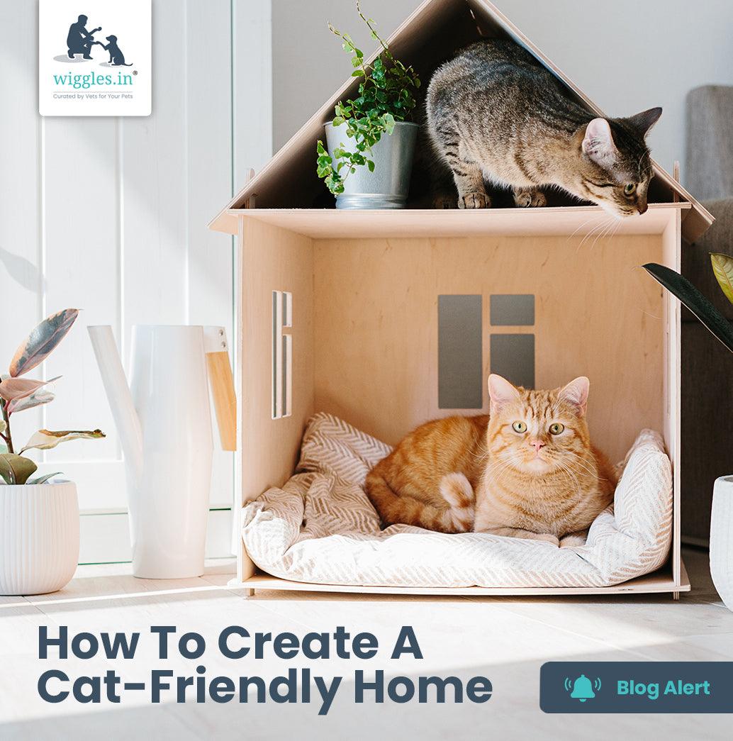 How To Create A Cat-Friendly Home - Wiggles.in