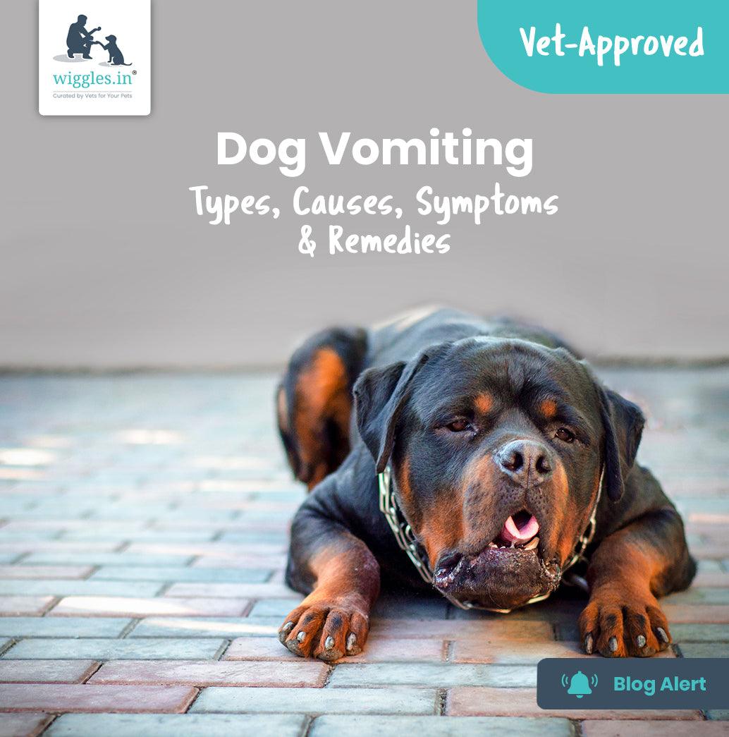 Dog Vomiting: Types, Causes, Symptoms & Remedies - Wiggles.in