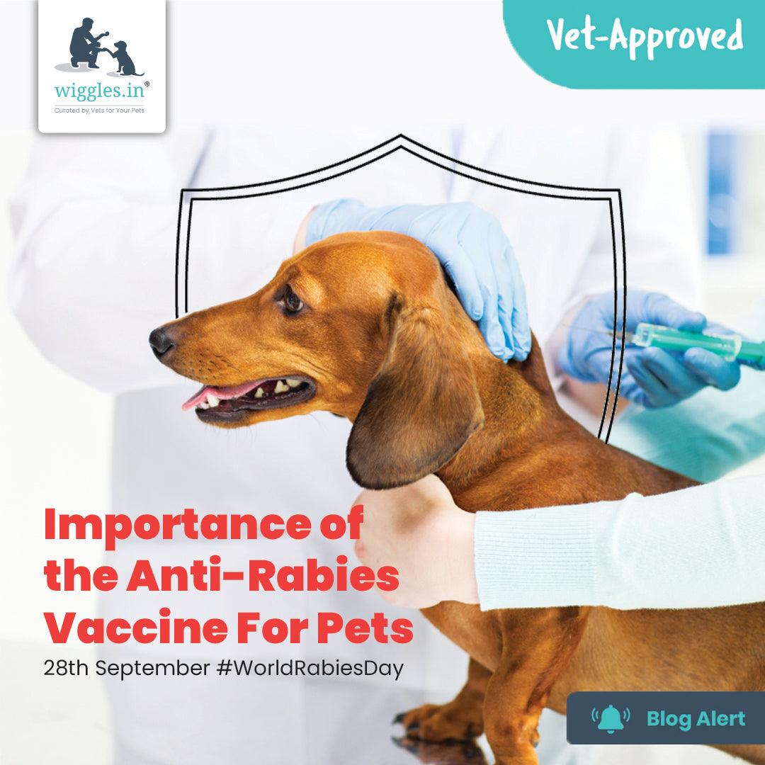 Importance of the Anti-Rabies Vaccine For Pets | Wiggles Blog