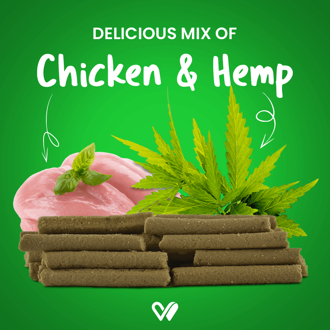 Barkstix Dog Treats for Training Adult & Puppies, (Chicken & Hemp) - Wiggles.in
