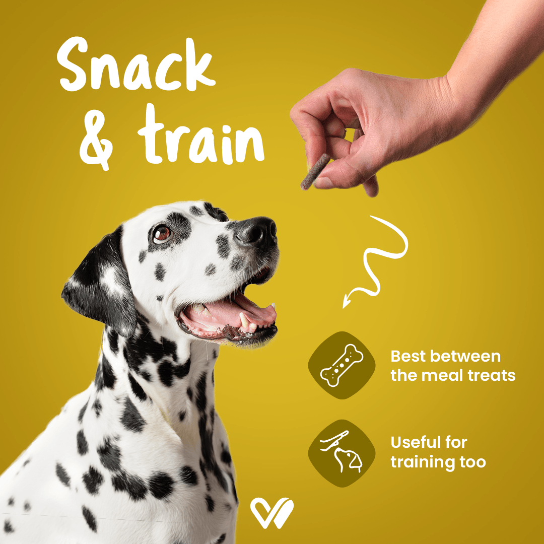 Barkstix Dog Treats for Training Adult & Puppies, (Honey Chicken) - Wiggles.in