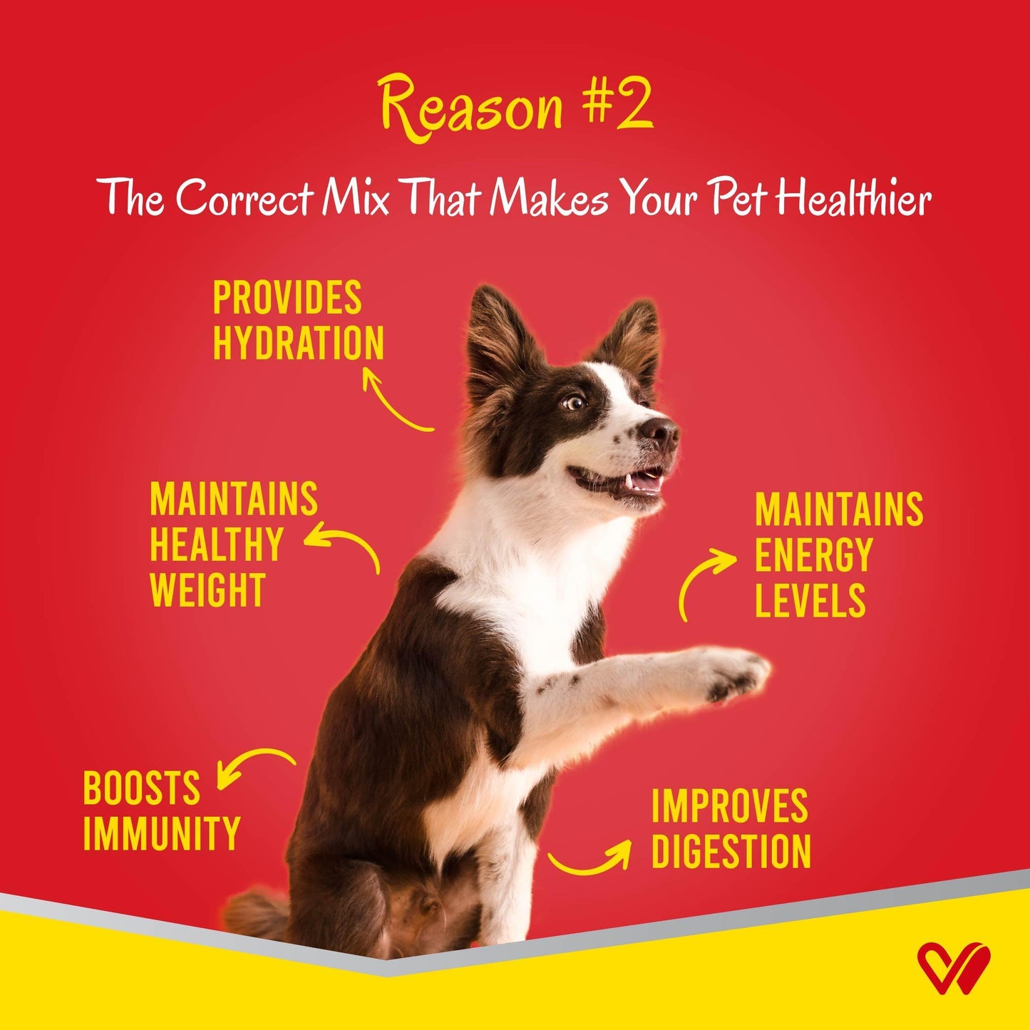 WIGGLES Wet Dog Food - Chicken & Vegetables for Puppy, Adult & Senior Pets - Wiggles