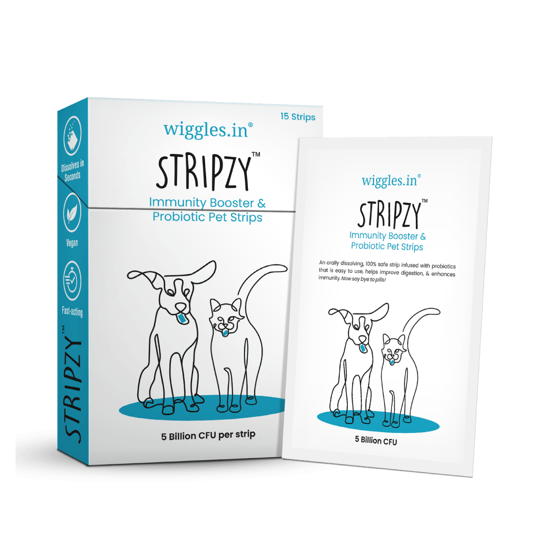 Stripzy Immunity Booster Probiotics Dogs Cats Pet, Ashwagandha Brahmi Health Strips (Blue Berry)