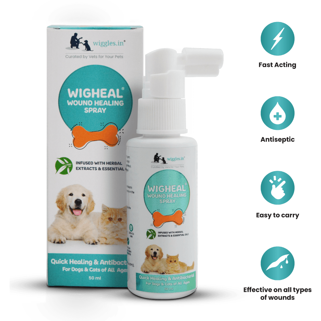 Wigheal Wound Healing Spray for Dogs & Cats - 50 ml - Wiggles.in