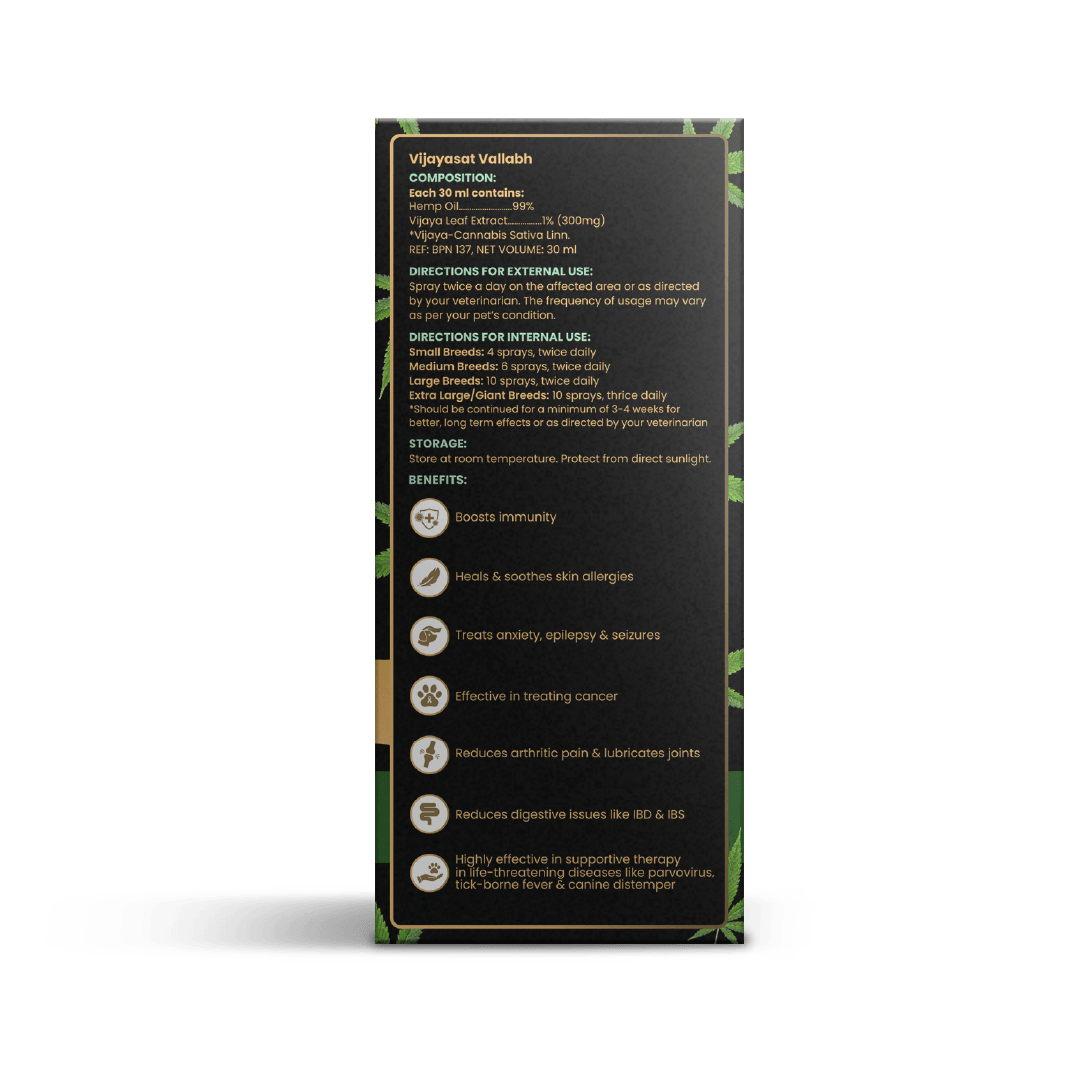 CannaPaw Oil, Vijaya leaf extract, Hemp oil, Regenerative Therapy & Pain Relief oil for Pets, 30ml - Wiggles.in