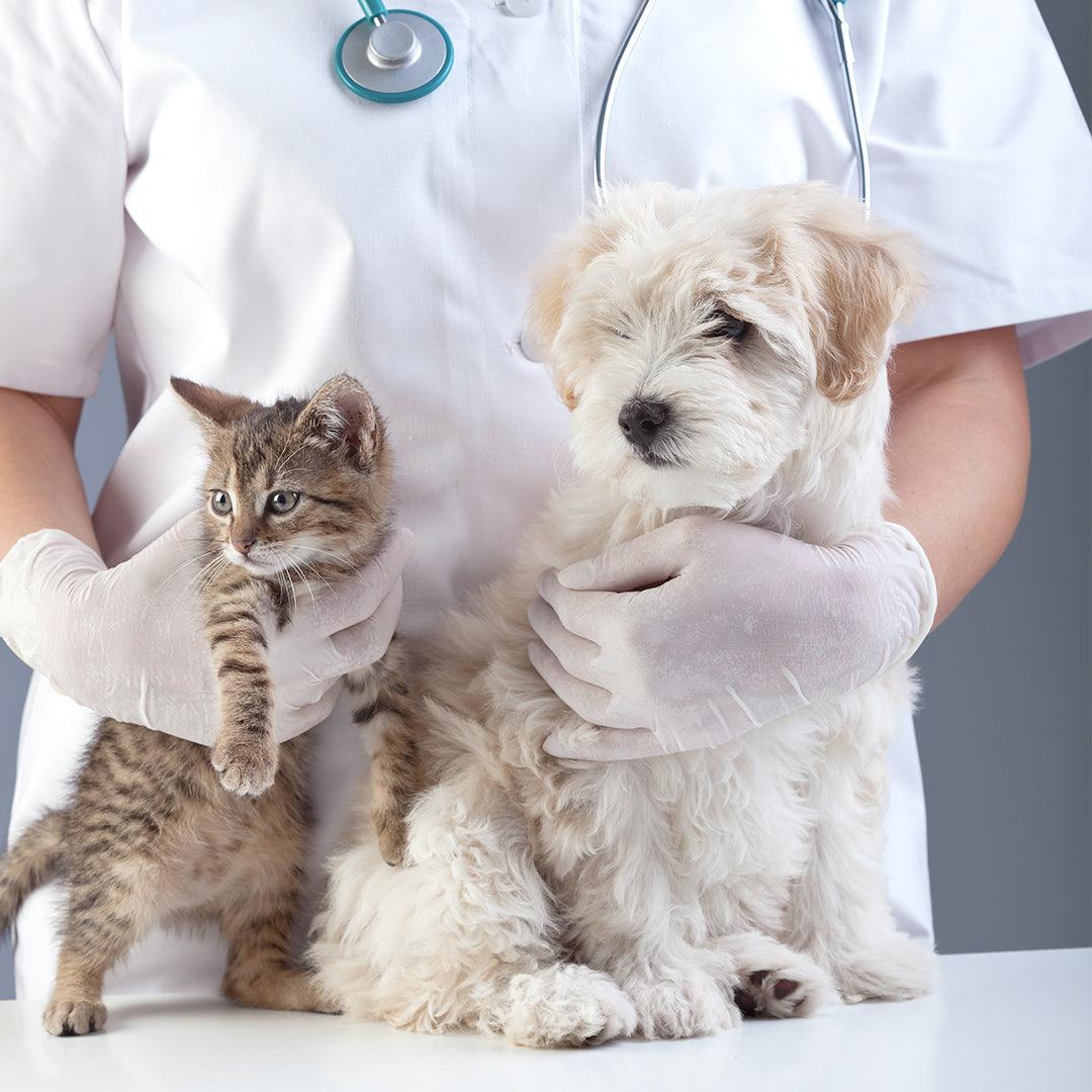 SmartVet