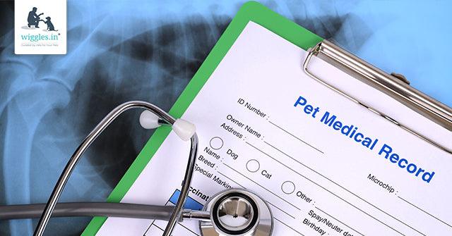Importance of keeping your Pet's Records