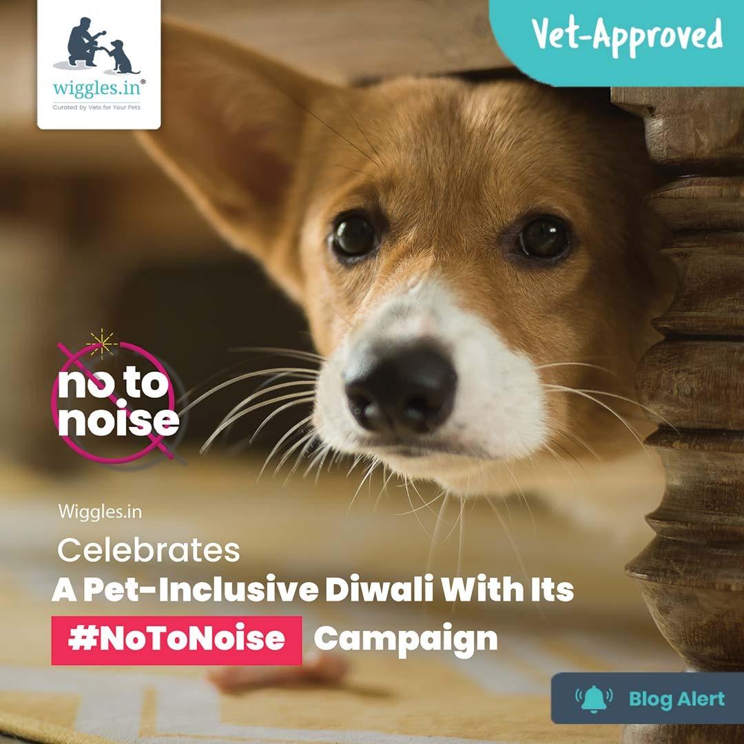 Wiggles.in Celebrates A Pet-Inclusive Diwali With Its #NoToNoise Campaign