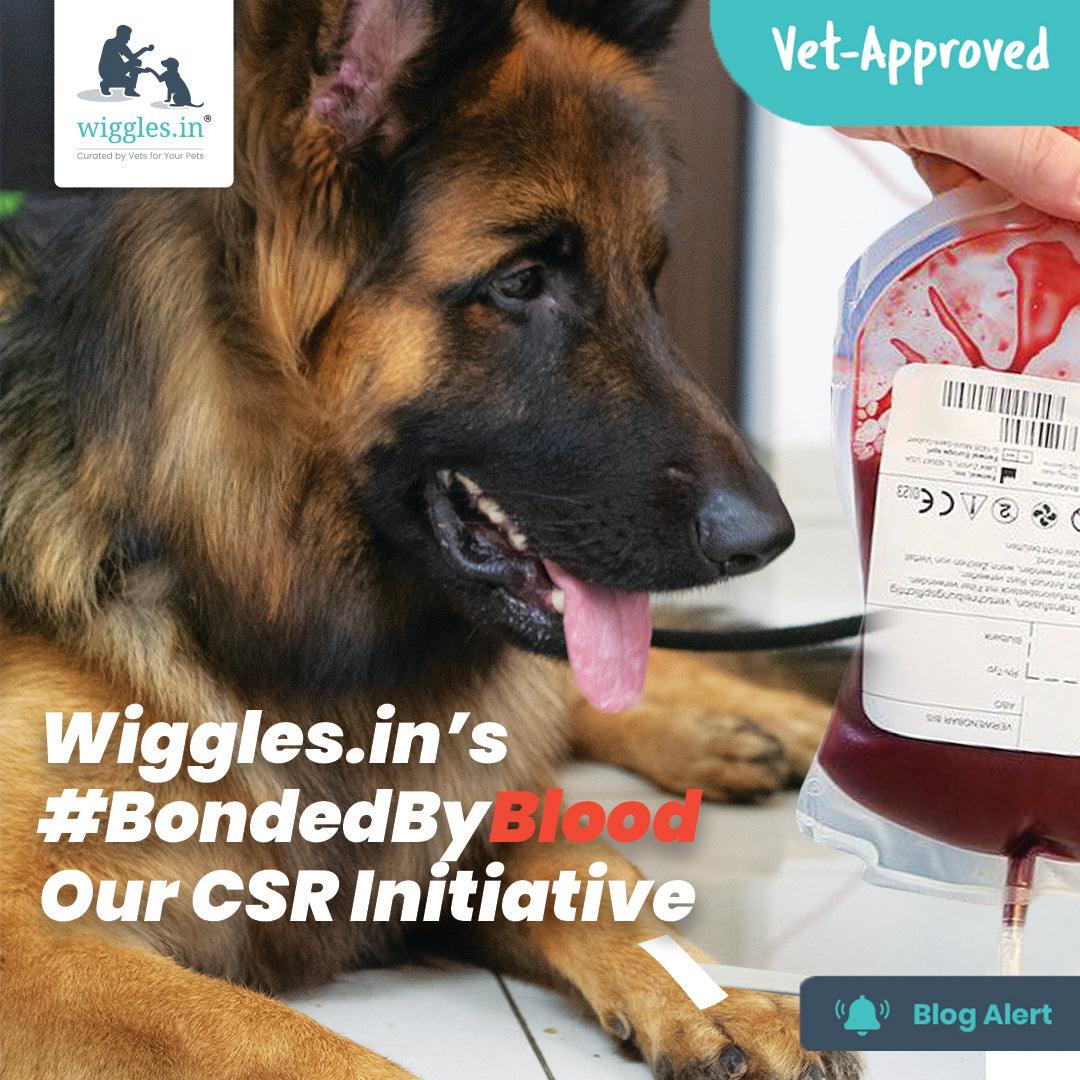 Wiggles.in’s #BondedByBlood Our CSR Initiative - Wiggles.in