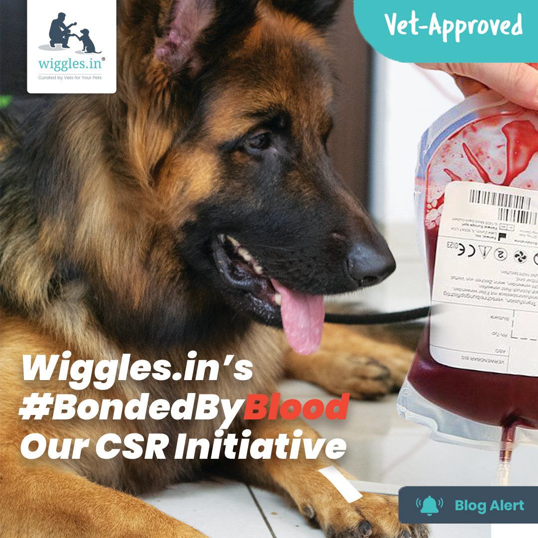 Wiggles.in’s #BondedByBlood Our CSR Initiative