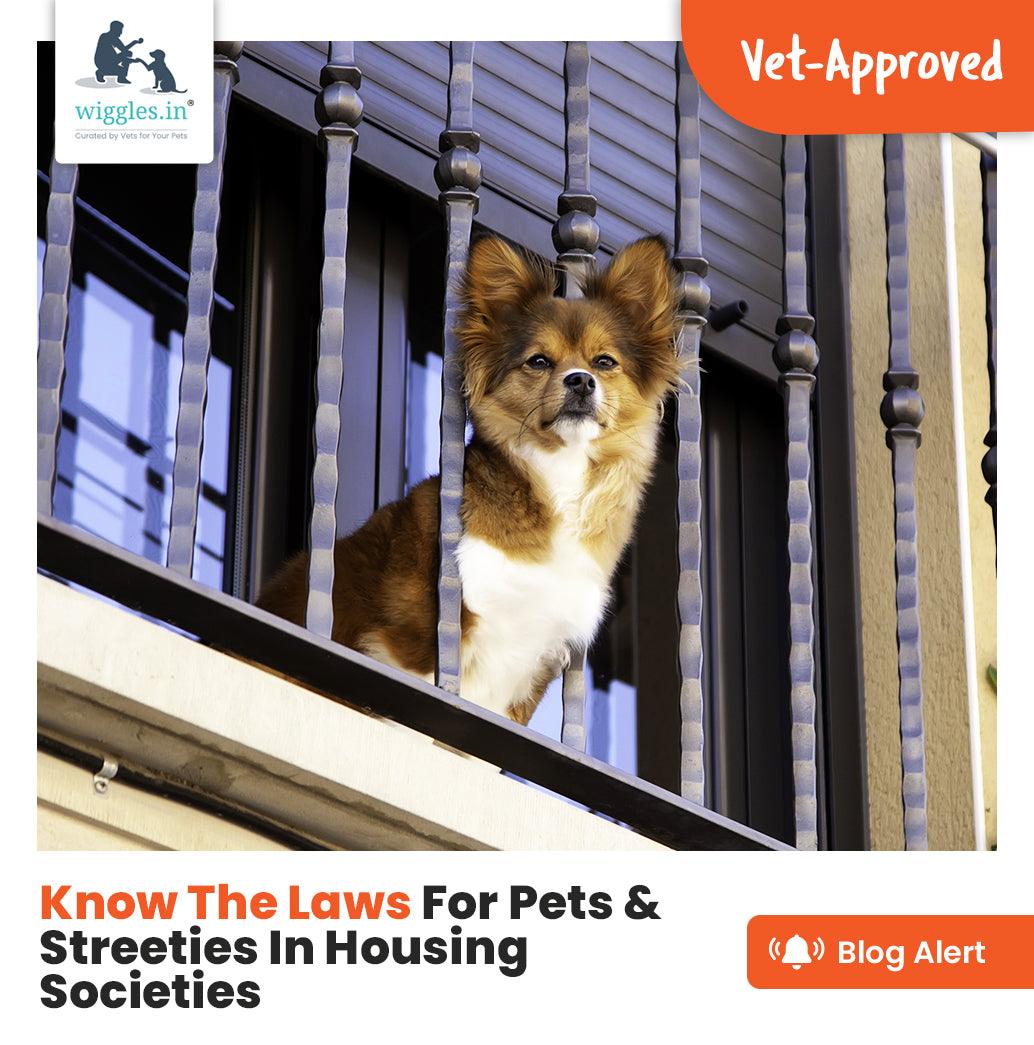 Know The Laws For Pets & Streeties In Housing Societies - Wiggles.in