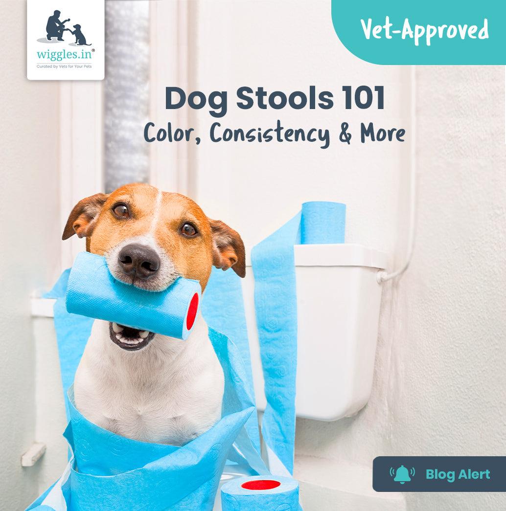 Dog Stools 101 Color, Consistency & More Wiggles.in