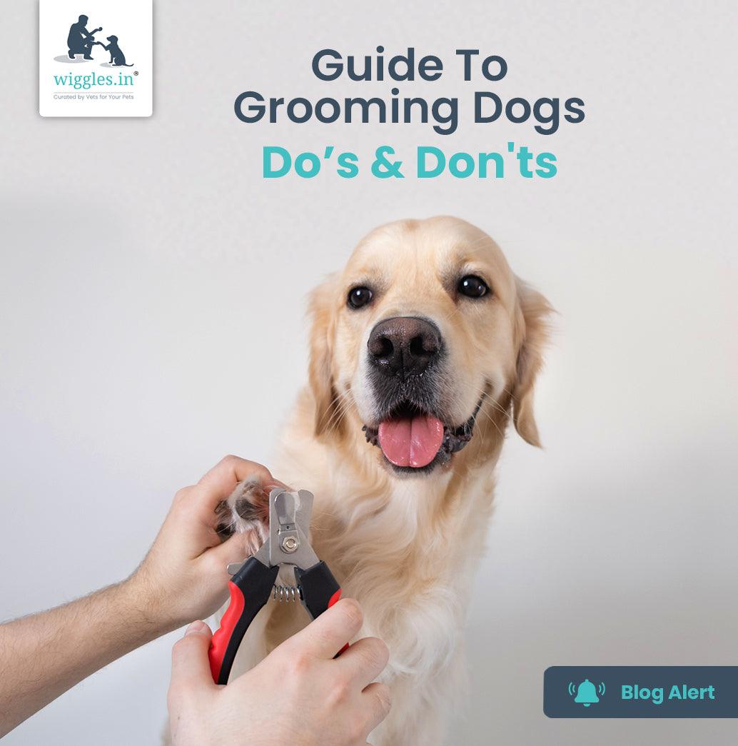 Guide To Grooming Dogs - Do’s & Don'ts
