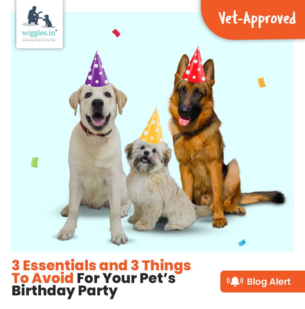 3 Ways To Celebrate Your Pet’s Birthday Party - Wiggles.in