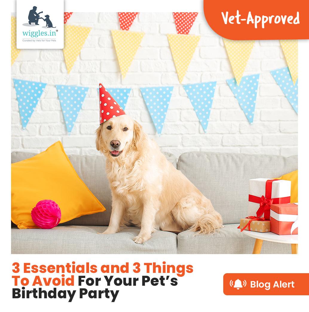 3 Essentials and 3 Things To Avoid For Your Pet’s Birthday Party - Wiggles.in