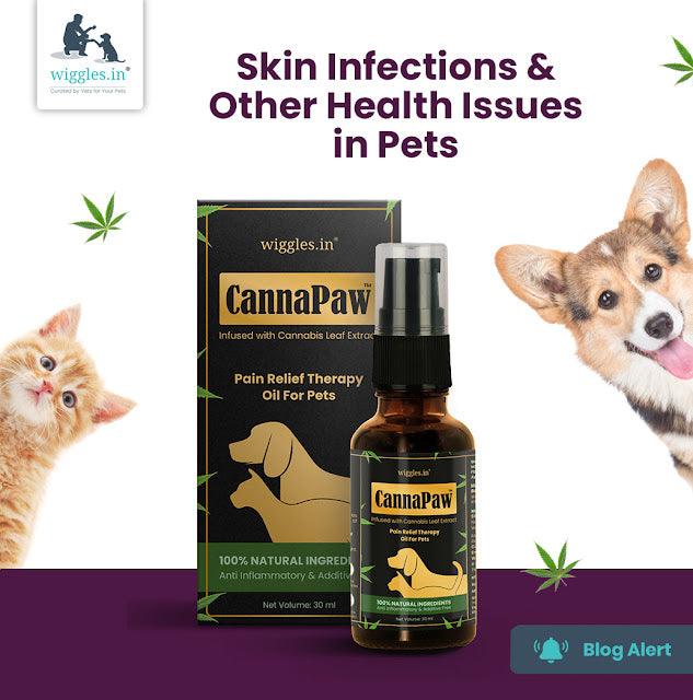 Skin Infections & Other Health Issues in Pets - Wiggles.in