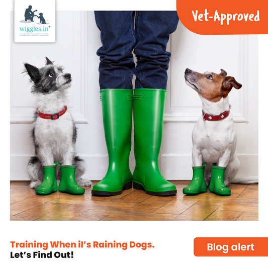 Training When it’s Raining Dogs