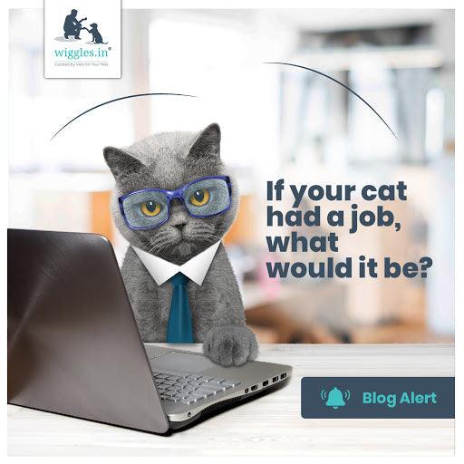 If cats had a job, what would it be?