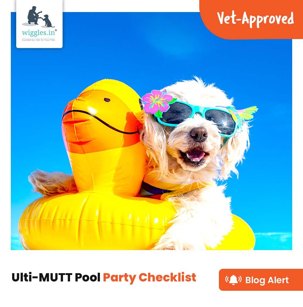 Ulti-MUTT Pool Party Checklist - Wiggles.in
