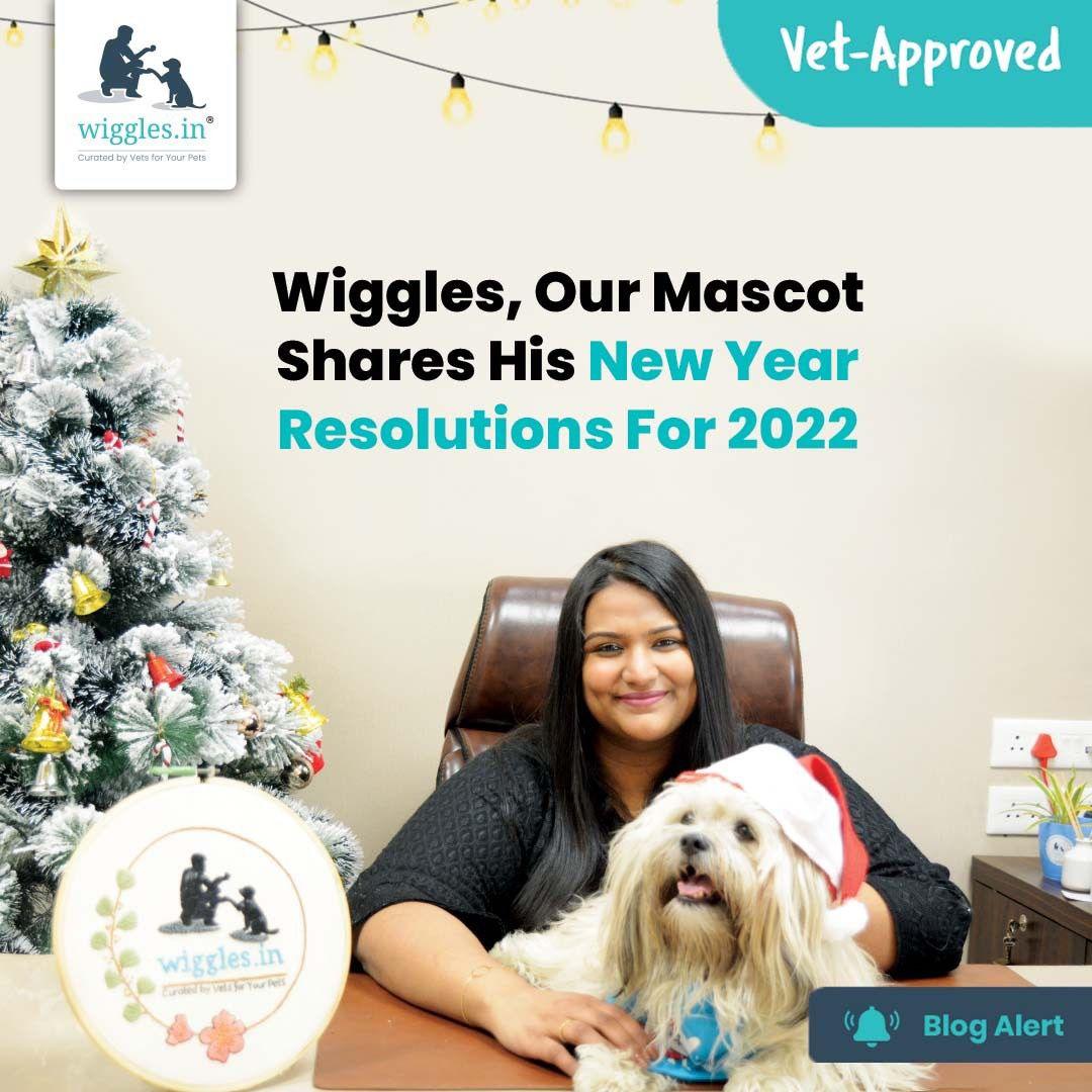 Wiggles, Our Mascot Shares His New Year Resolutions For 2022