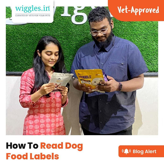 How To Read Dog Food Labels - Wiggles.in