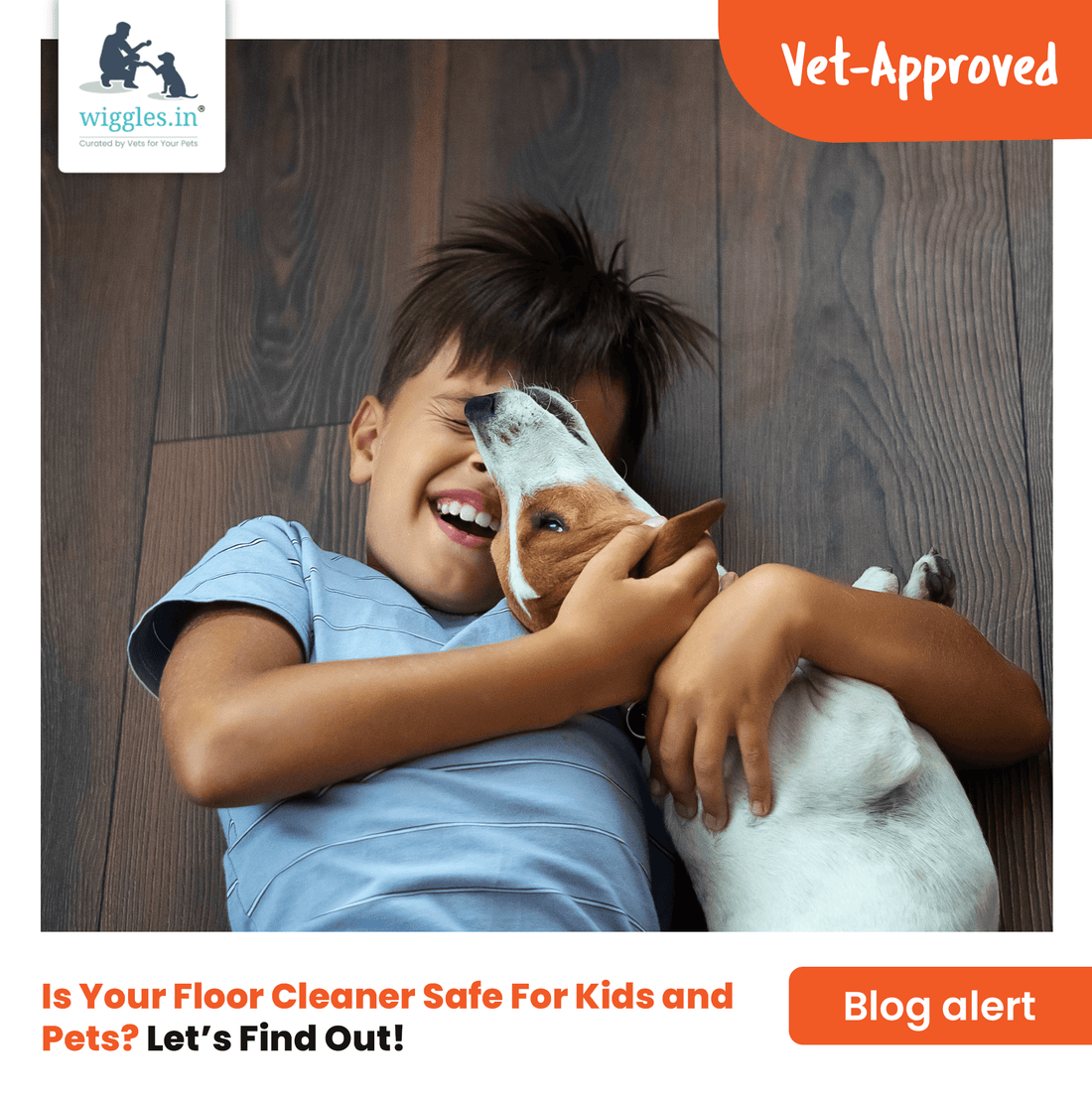 Is Your Floor Cleaner Safe For Kids and Pets? - Wiggles.in