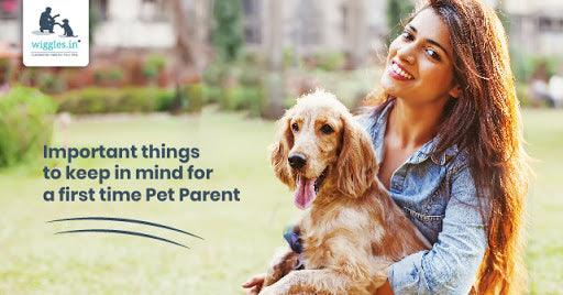 Important things to keep in mind for a first-time Pet Parent - Wiggles.in