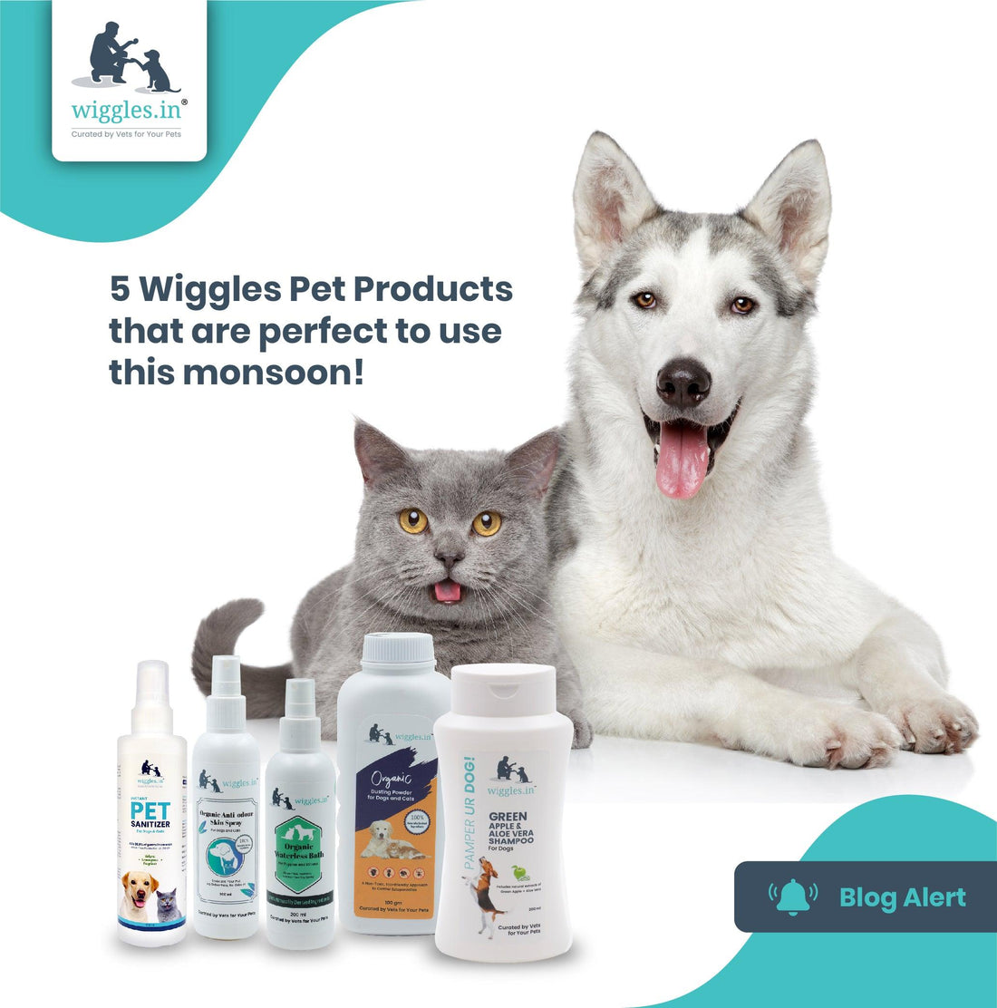 5 Wiggles Pet Products that are perfect to use this monsoon!