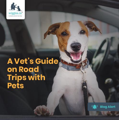 A Vet's Guide on Road Trips with Pets - Wiggles.in