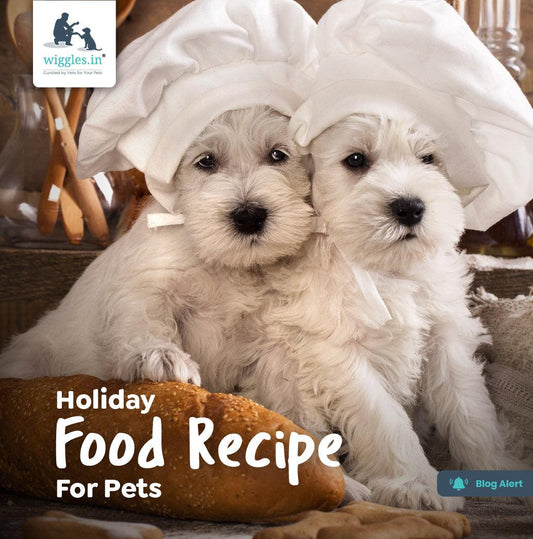 Holiday Food Recipes For Pets - Wiggles.in