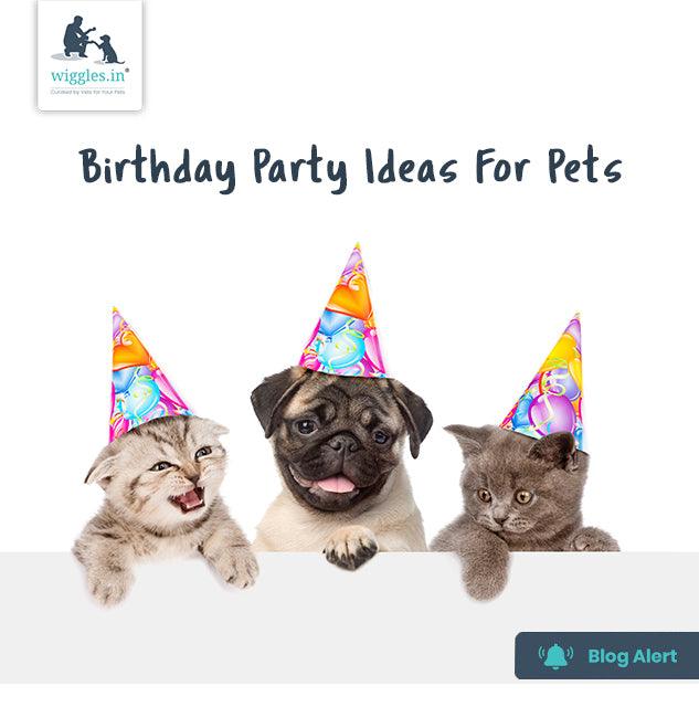 Birthday Party Ideas For Your Pets - Wiggles.in