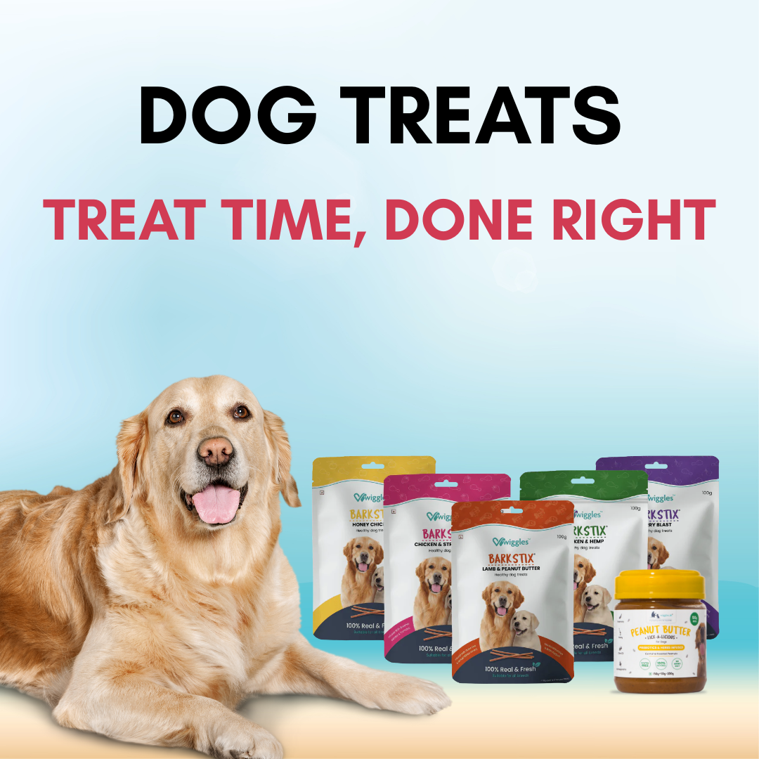 Dog Treats