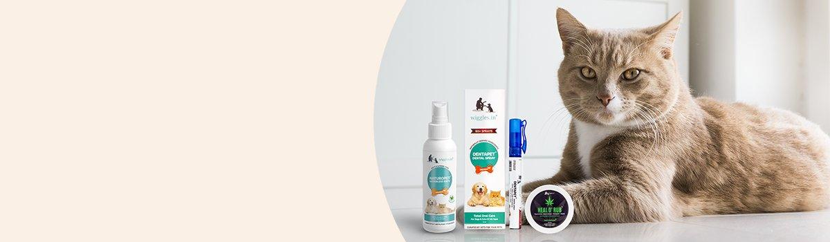 Health & Wellness
