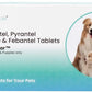 Wiggles Deworminator Tablets for Dogs, 10 TAB
