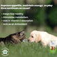 Furliv Liver Tonic for Dogs Cats Appetite Booster - Multivitamin Appetizer Pet Syrup, 200ml - Wiggles.in