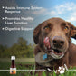Wimmuno+ Immunity Boosting Syrup for Dogs & Cats - 100 ml