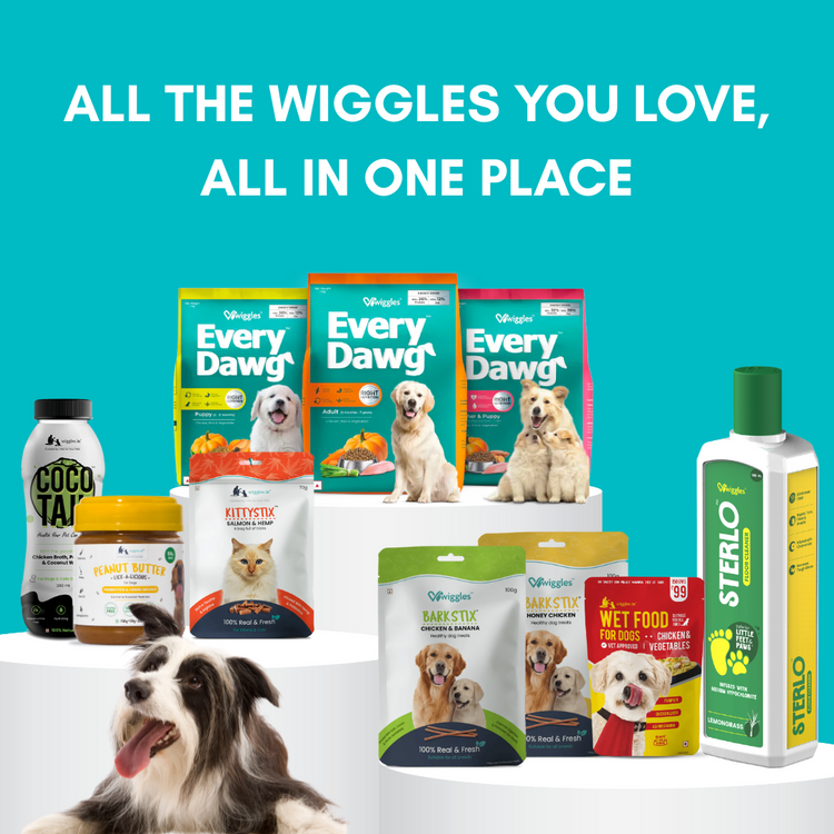 Explore All Products