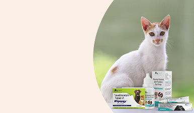 Buy Health Wellness Medication for Cat Online in Best Prices in India Wiggles