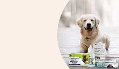 Pharmacy