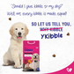 Ykibble Puppy Dry Dog Food, 1-12 Months - Oven Baked Nutrionally Balanced - Chicken & Vegetables - Wiggles.in