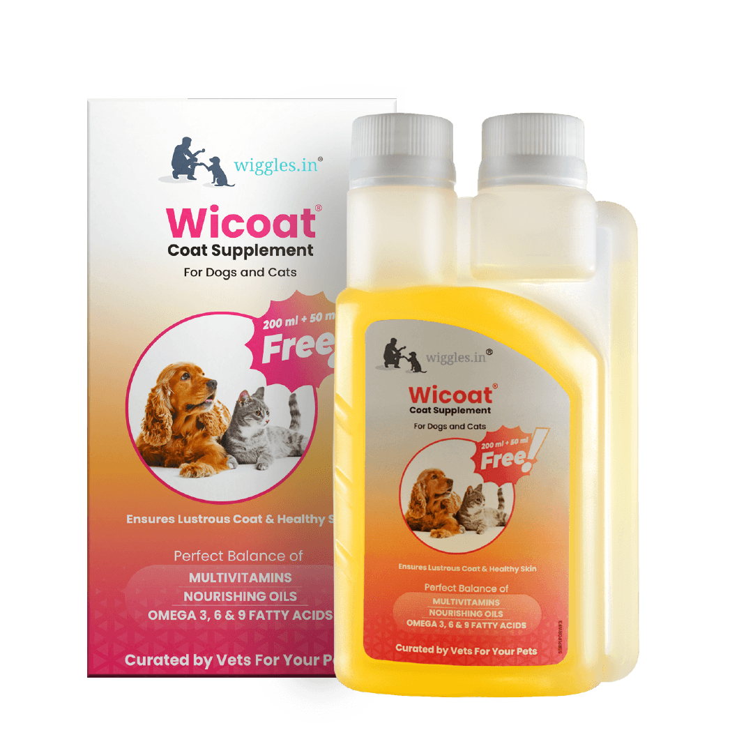 Wicoat Skin and Coat Supplement for Cats & Dogs, 250ml - Prevents shedding, dandruff & skin allergy - Wiggles.in