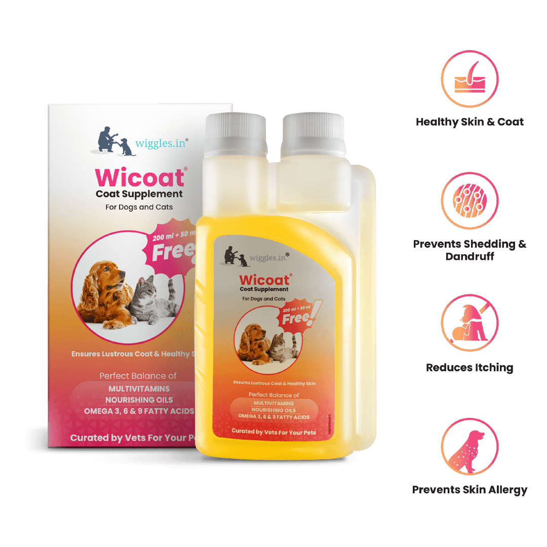 Wicoat Skin and Coat Supplement for Cats & Dogs, 250ml - Prevents shedding, dandruff & skin allergy - Wiggles.in