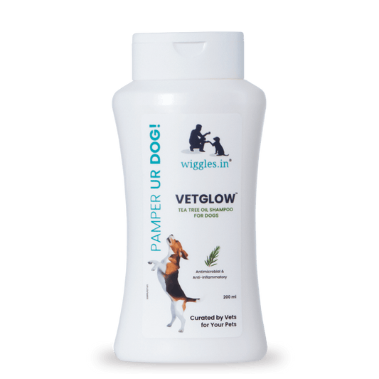 Vetglow Dog Shampoo for Adult & Puppy - Tea Tree Oil Shampoo - Removes Ticks & Fleas, 200ml - Wiggles.in