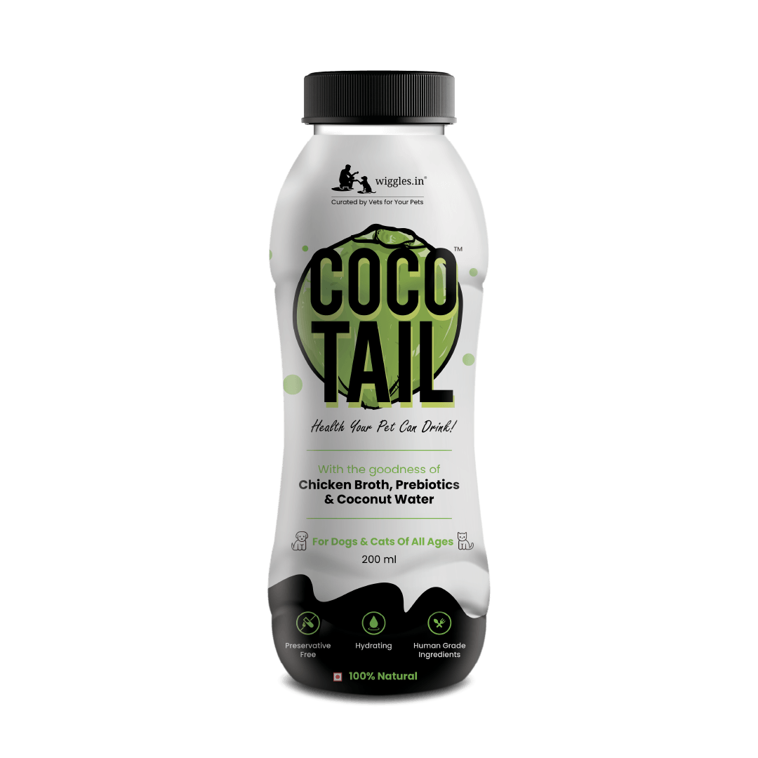 WIGGLES Cocotail Energy Drink for Dogs Cats, 200ml - Balances Electrolytes, Supports Dehydration Fatigue - Chicken Broth, Prebiotics, Coconut Water - Wiggles.in