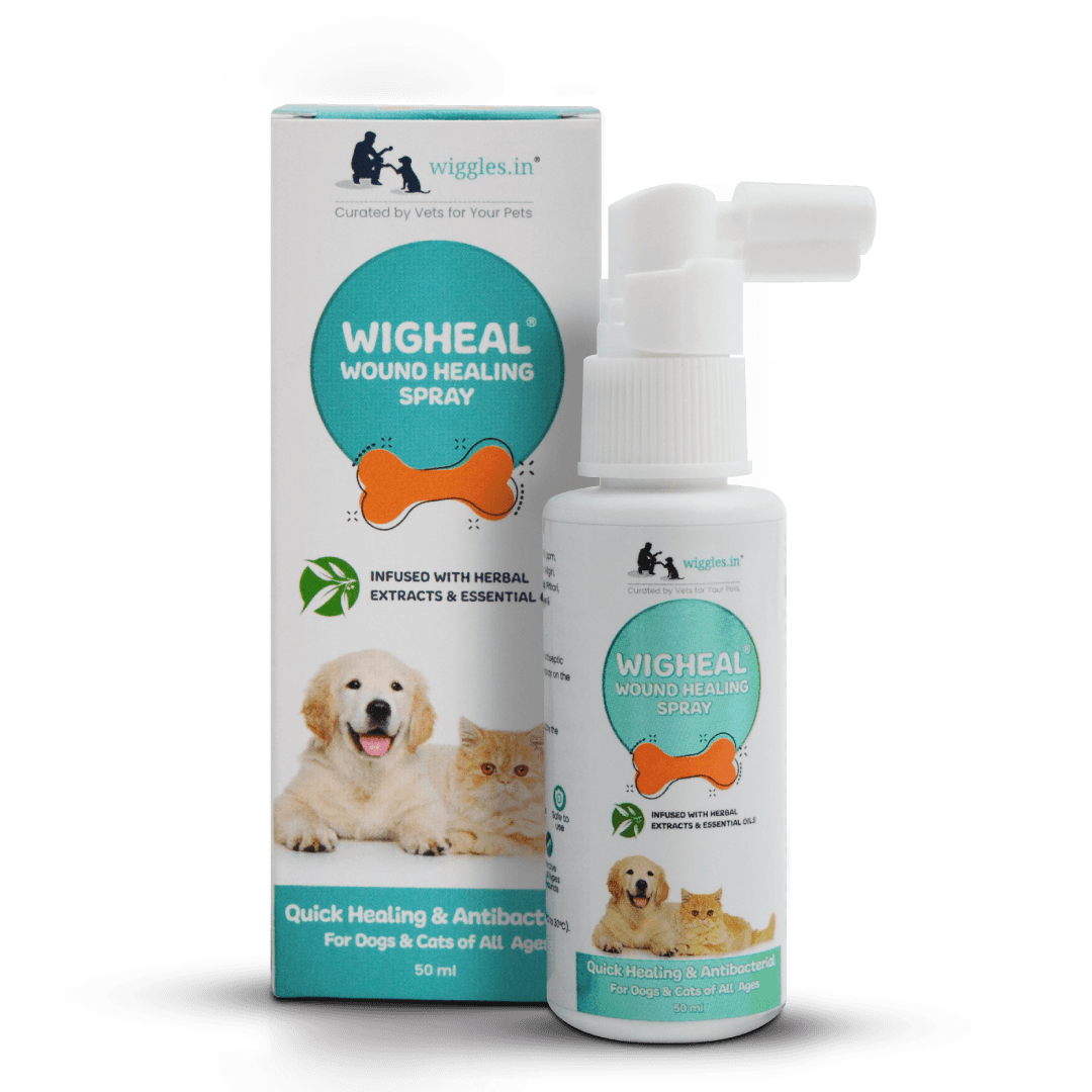 Wigheal Wound Healing Spray for Dogs & Cats - 50 ml - Wiggles.in