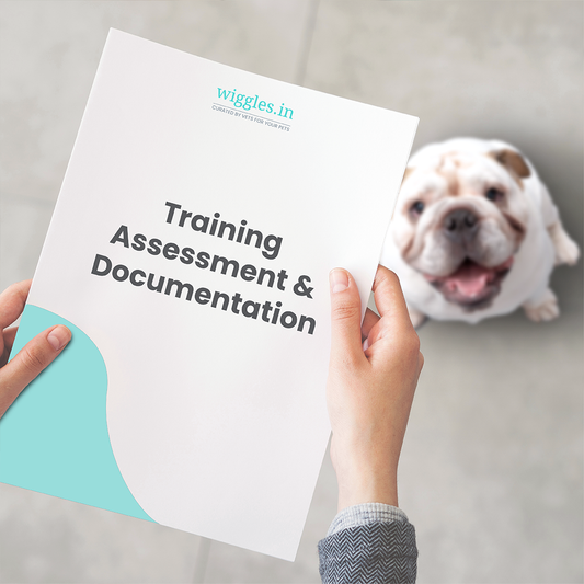 Training Assessment and Documentation