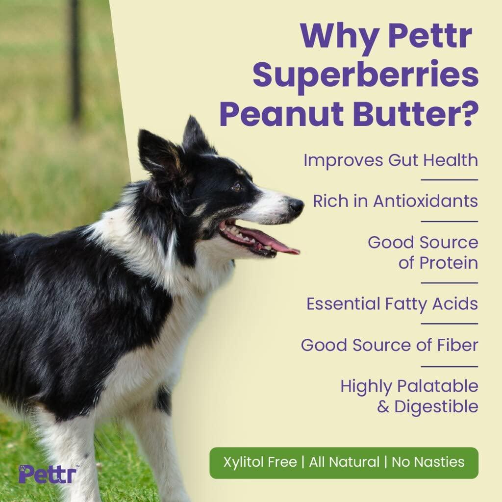 Pettr Superberries Peanut Butter for Dogs - Treats for Training Adult Small Puppy, 250g