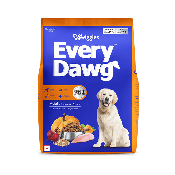 Buy Dog Food Online & Supplies Online at Best Prices Wiggles Wiggles.in