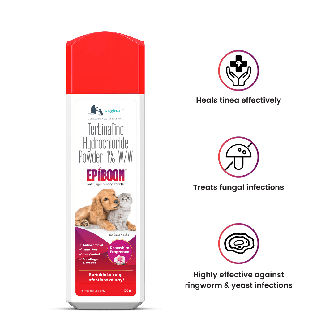 Clotrimazole powder for dogs cheap