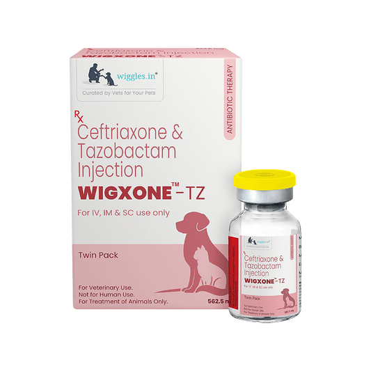 Wigxone-TZ™ INJ. 562.5 MG